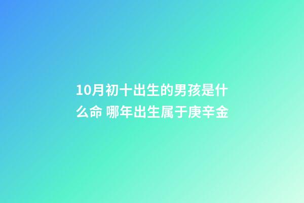 10月初十出生的男孩是什么命 哪年出生属于庚辛金-第1张-观点-玄机派